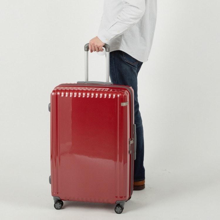 ace.／エース パリセイドZd エキスパンド機能 88L/103L 06817(01