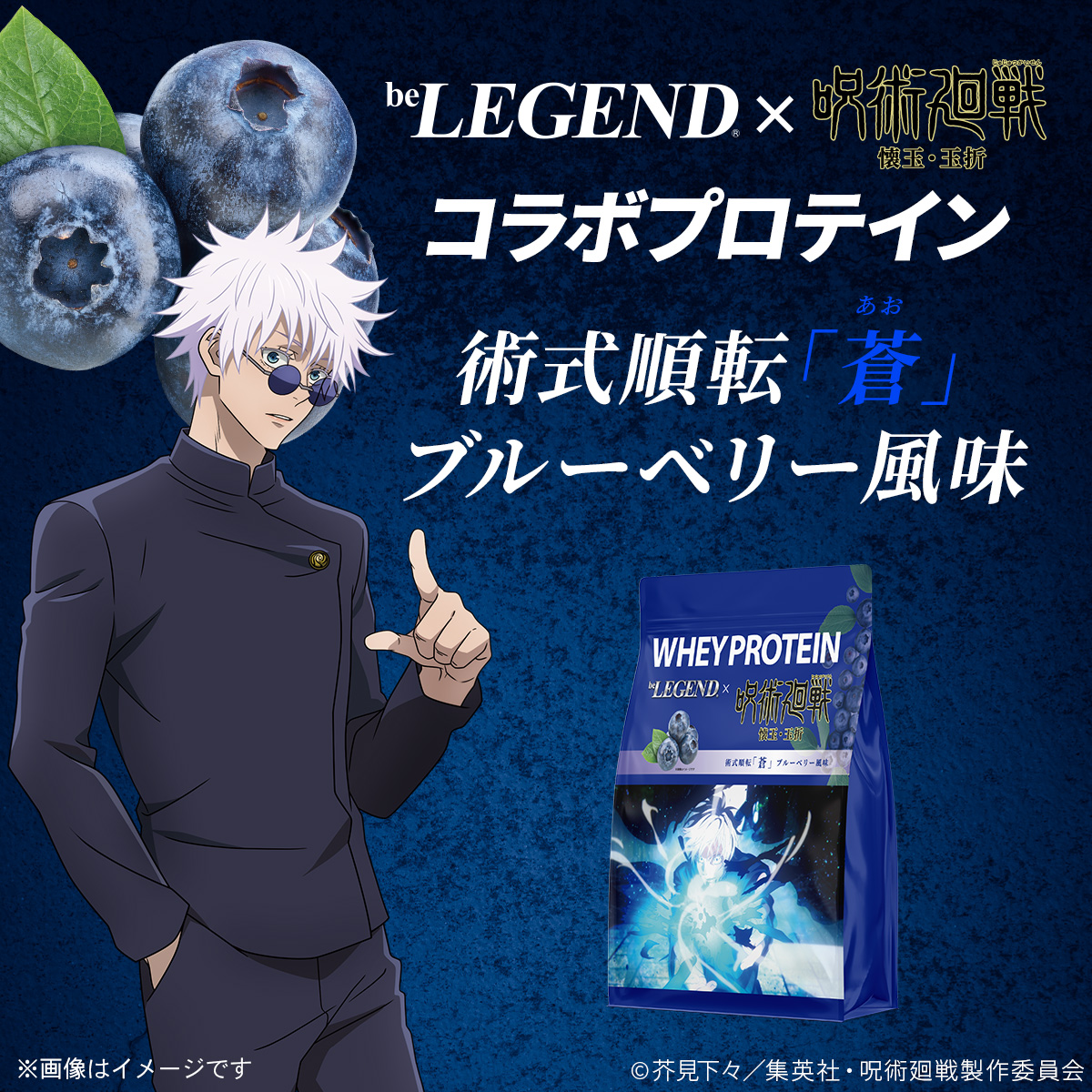 WPC 呪術廻戦 懐玉・玉折 術式順転「蒼」 ブルーベリー風味【900g