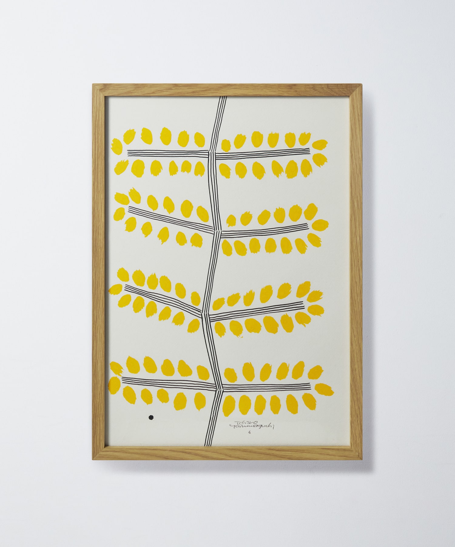 山口一郎さん原画】ミモザ｜BIGI online store - ビギ オンラインストア