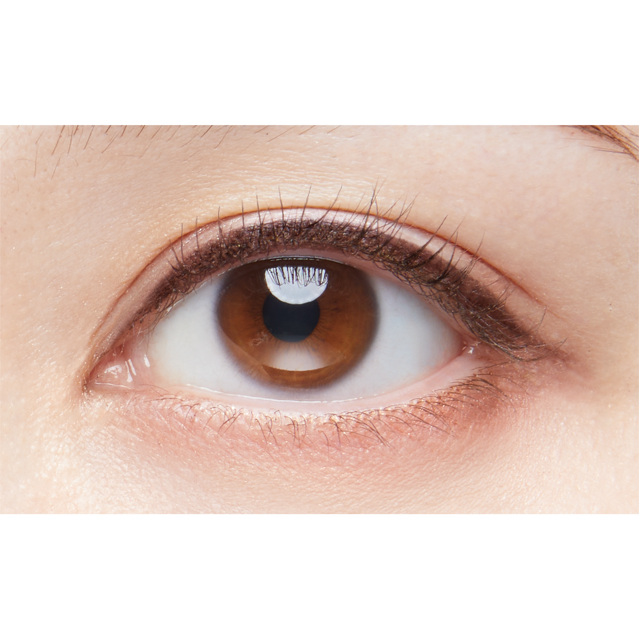 1_pemcil_pb.png?v=1709273503&