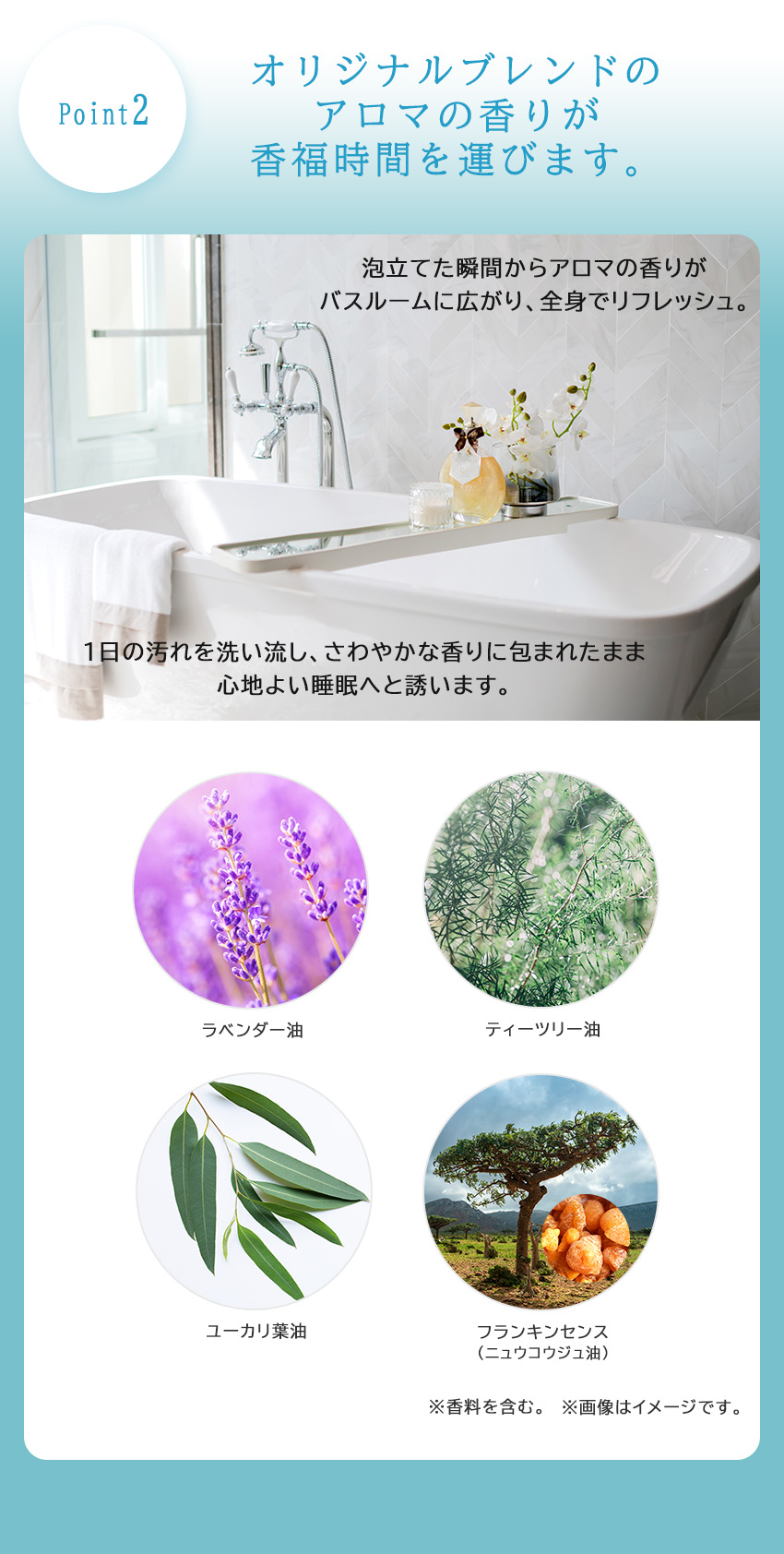 スアビスヴェール ボディケアキット 6-7