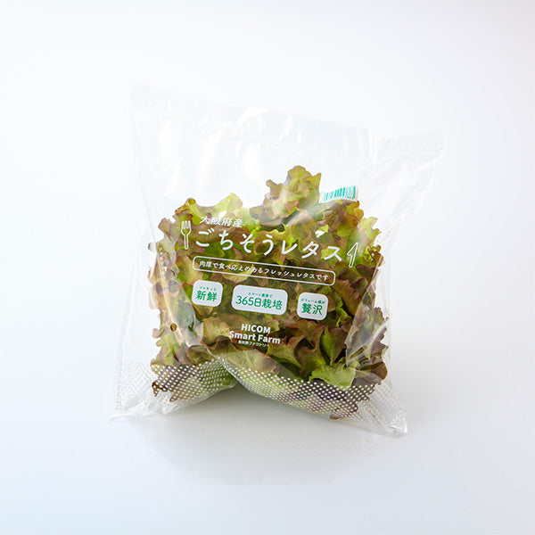 サラダが華やぐ ごちそうレタス 8袋【大阪府泉佐野産】農産物直売所