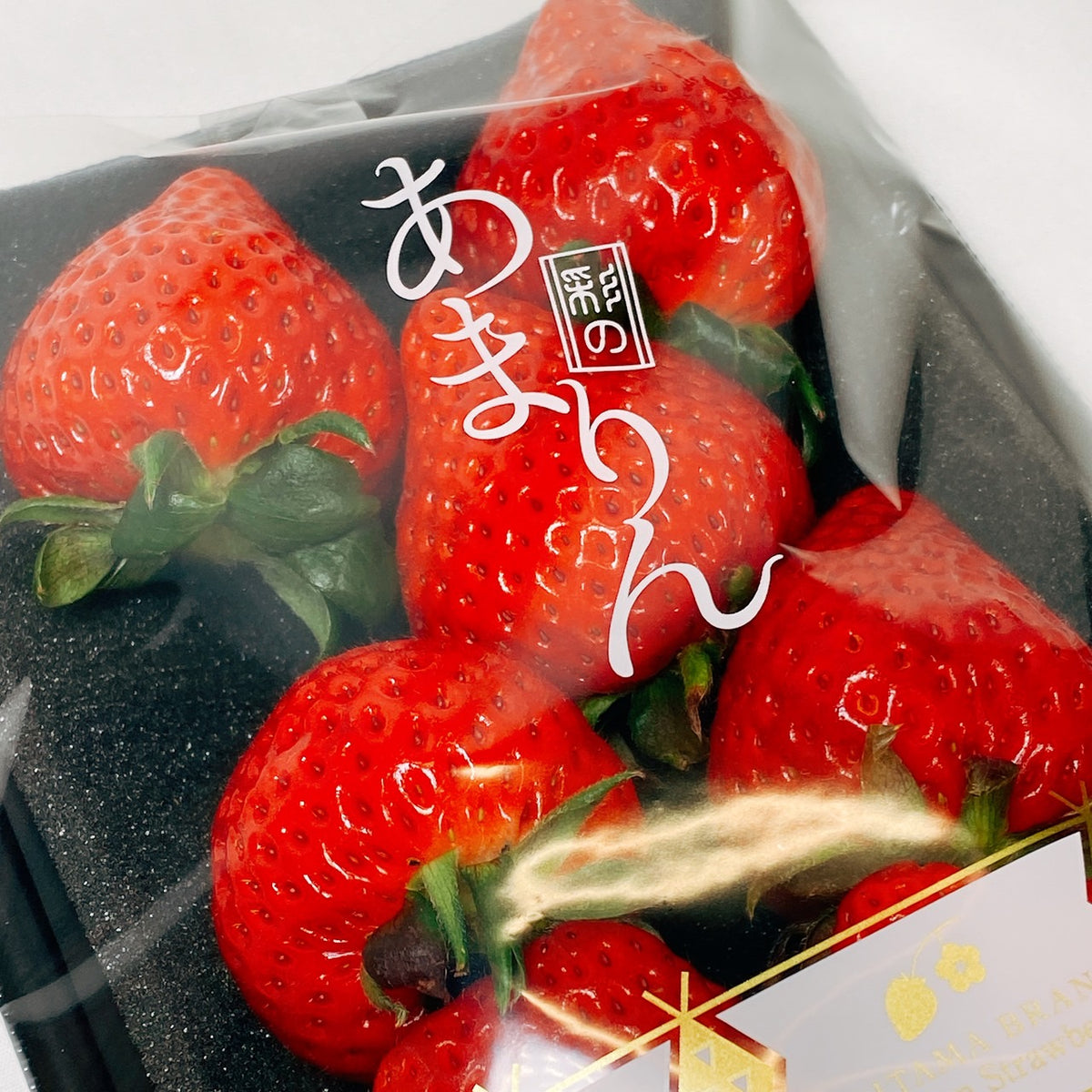 S__117162158_0_1200x1200.jpg?v