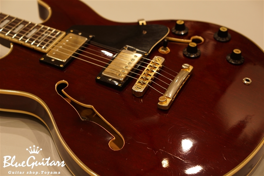 Aria Pro II TA-62 - Wine Red | Blue Guitars Online Store