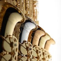 Zenon（ゼンオン） Xylophone ZX32BK | Brasstek Online Store