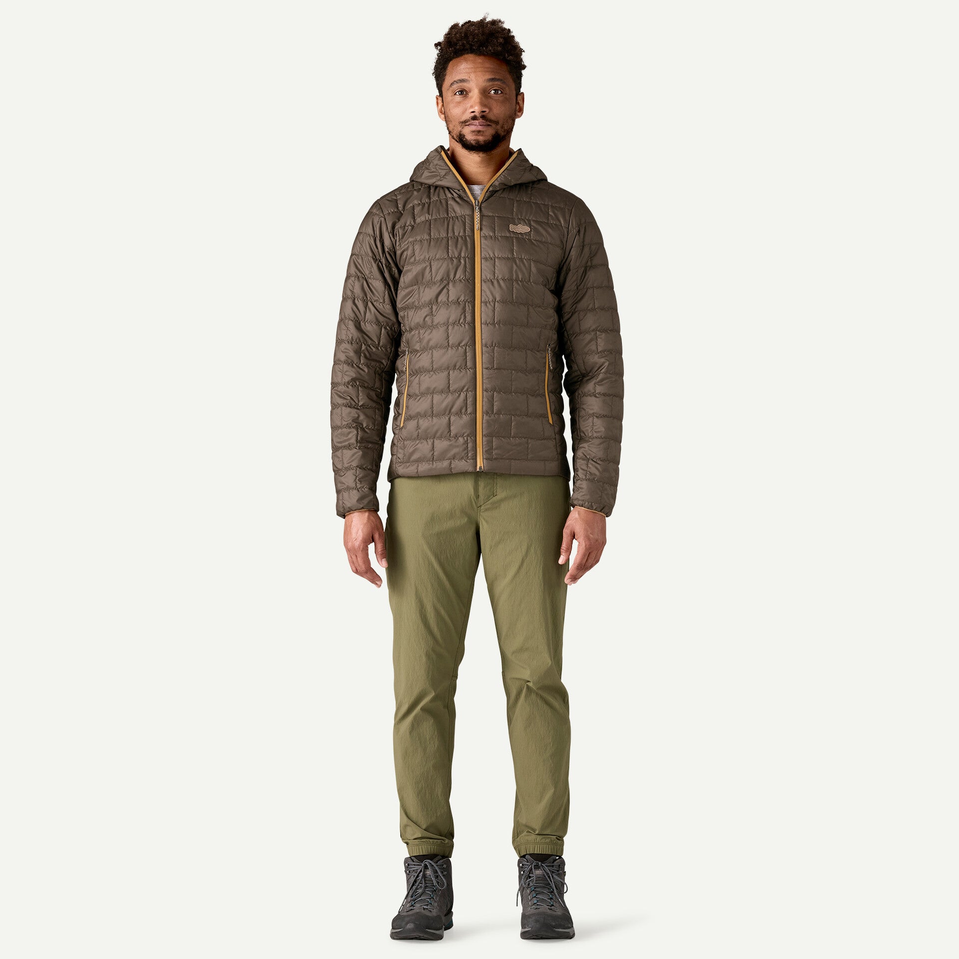 patagonia(パタゴニア) Men's Nano Puff Fitz Roy Trout Hoody 84456
