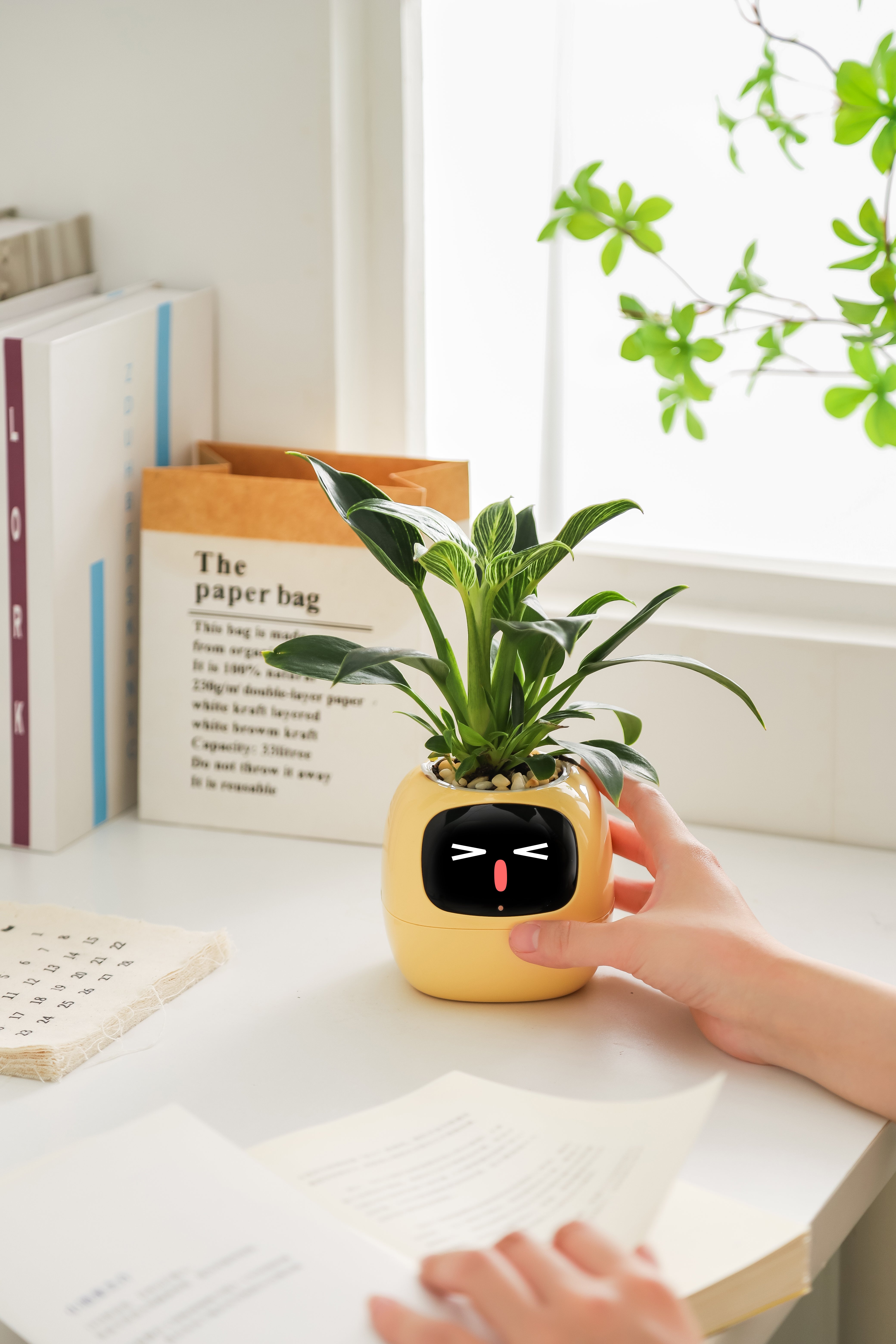 Ivy Smart Planter – Smart & Interactive Planter for Indoor Plants