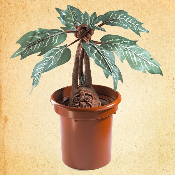 SHOCHIKU STORE | 松竹ストアハリー・ポッター インタラクティブ