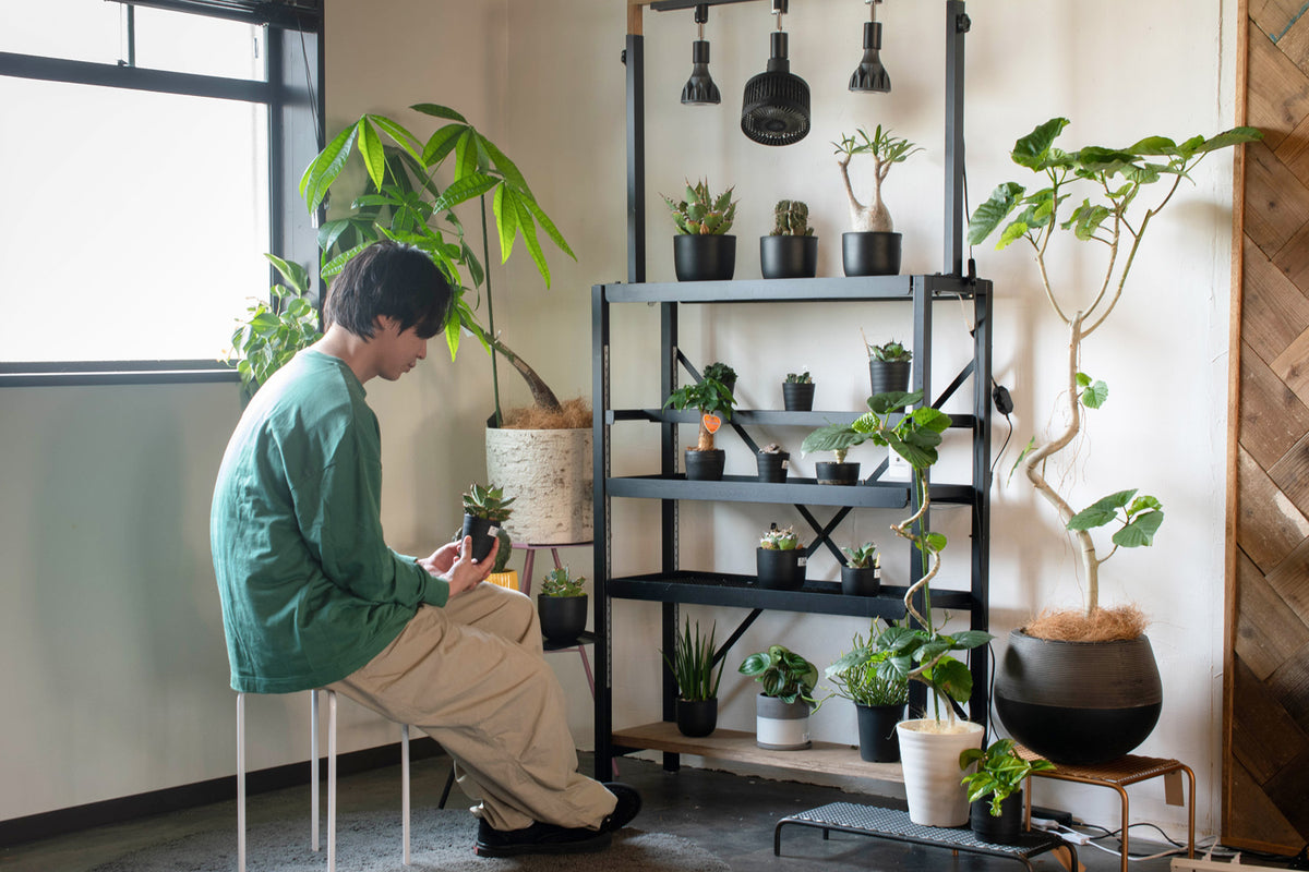 ボタニカルラック用TOP照明キット | アイアン家具通販 SULK