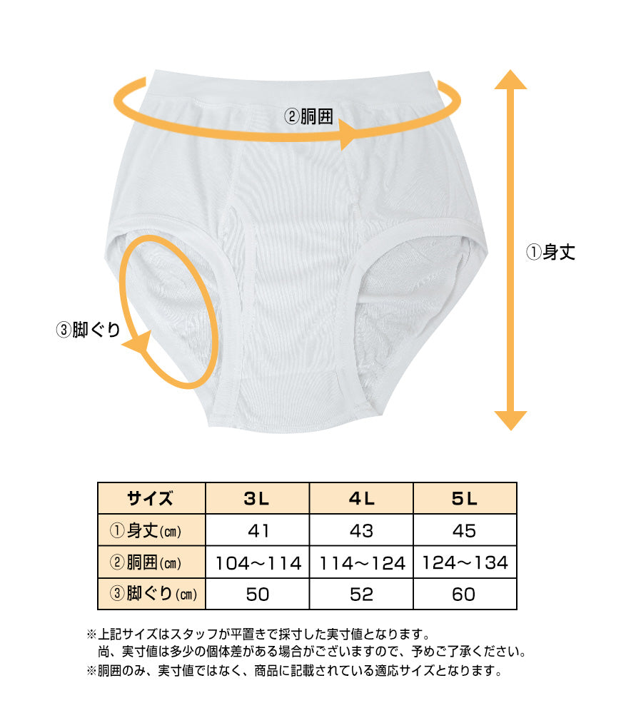 ブリーフ 綿100% 大きいサイズ 2枚組 3L 4L 5L 前あき メンズ 下着
