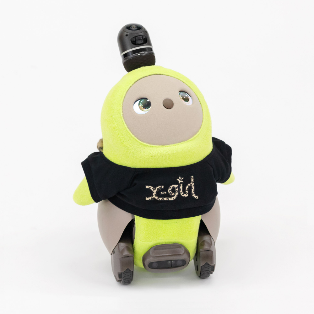 過去の販売アイテム | LOVOT ウェブストア