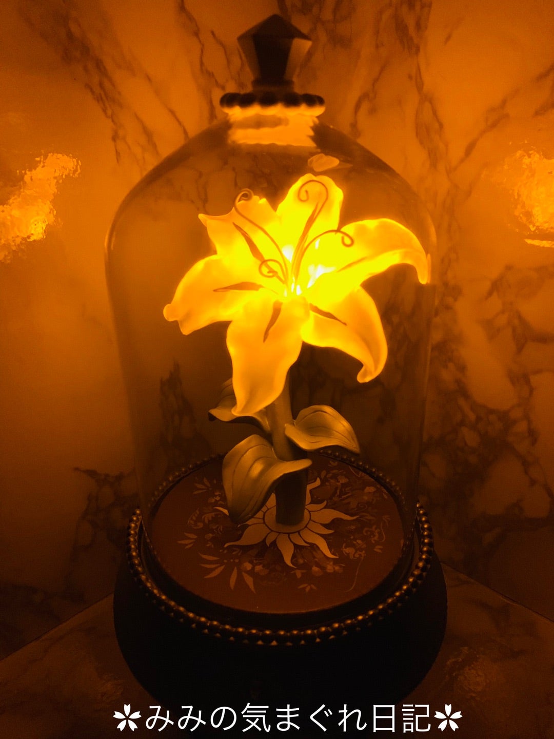 ストア♡即完売！！ラプンツェルの魔法の花（動画あり） | ♡みみの