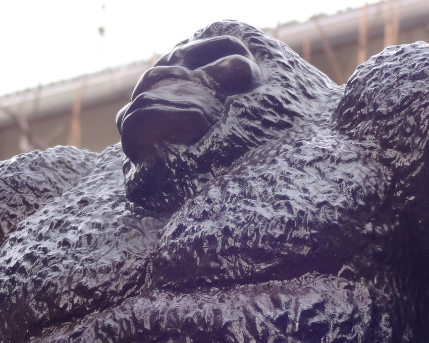 22-03-06 ワイルドクリークビッグフット | ヤマダ・マサミ ART＆WORK