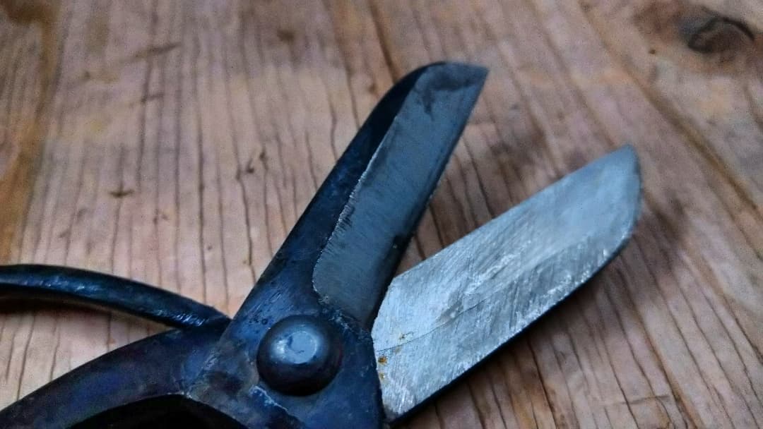 仙台 村上 | 庭師記 ー 庭は師、業は己 ー