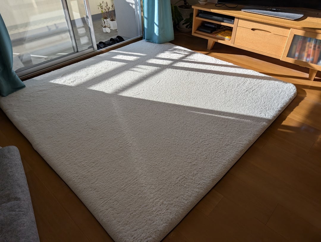 断捨離】ラグの捨て方 | 水野由美/東京目黒/断捨離®トレーナー 『今が