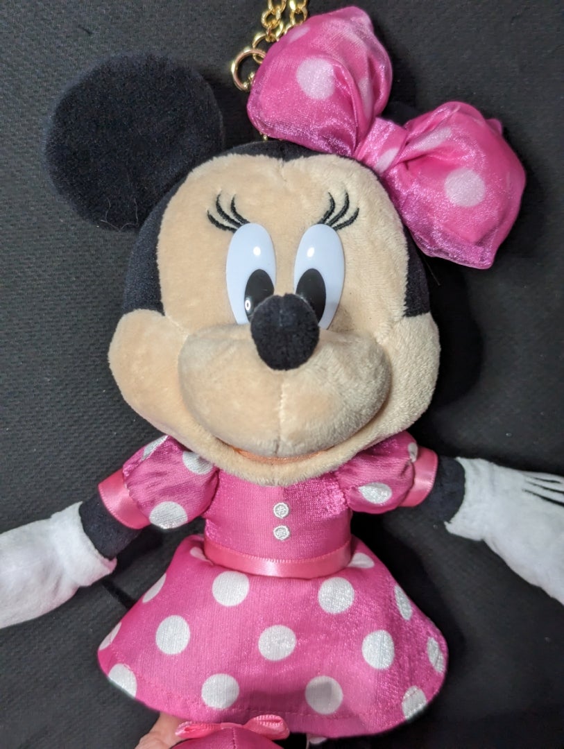 ☆ミニーの日！×購入グッズ〜☆ | hiro☆のディズニー大好きブログ
