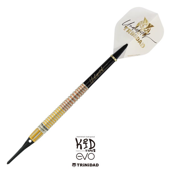 KID TYPE2 EVOスティールダーツとソフトダーツは別物と考える選手が