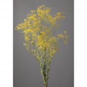 即日☆【プリザーブド】大地農園/スーパーソフトミニカスミ草・フレア