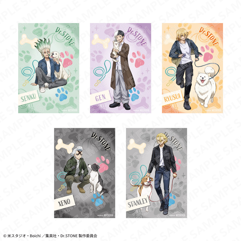 ジャンプフェスタ2026 Dr.STONE｜キャラアニ.com