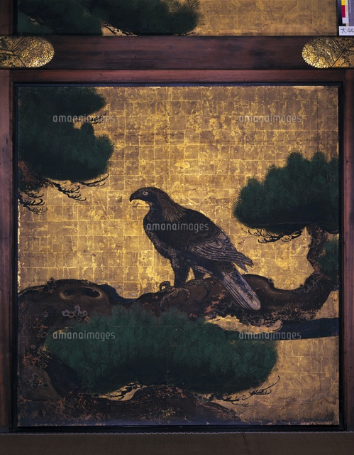 松鷹図[20061000184]の写真・イラスト素材｜アマナイメージズ