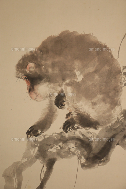 木島桜谷 猿図(部分）[20076002298]の写真・イラスト素材｜アマナ