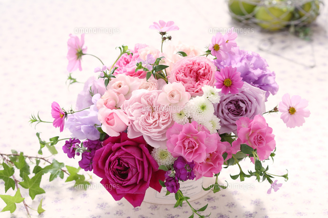 紫とピンクのフラワーアレンジメント[21002003279]の写真・イラスト