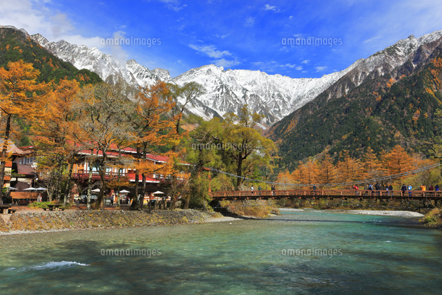 秋の上高地・河童橋より紅葉に雪の穂高連峰[10816002161]の写真