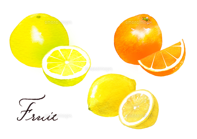 グレープフルーツ、レモン、オレンジ[10980000038]の写真・イラスト