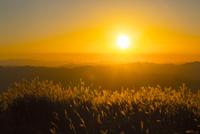 夕日に映えるススキと山並み[10685004146]の写真・イラスト素材