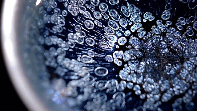 茶碗の最高峰である曜変天目の輝きを現代に蘇らせる「七彩曜変建盞