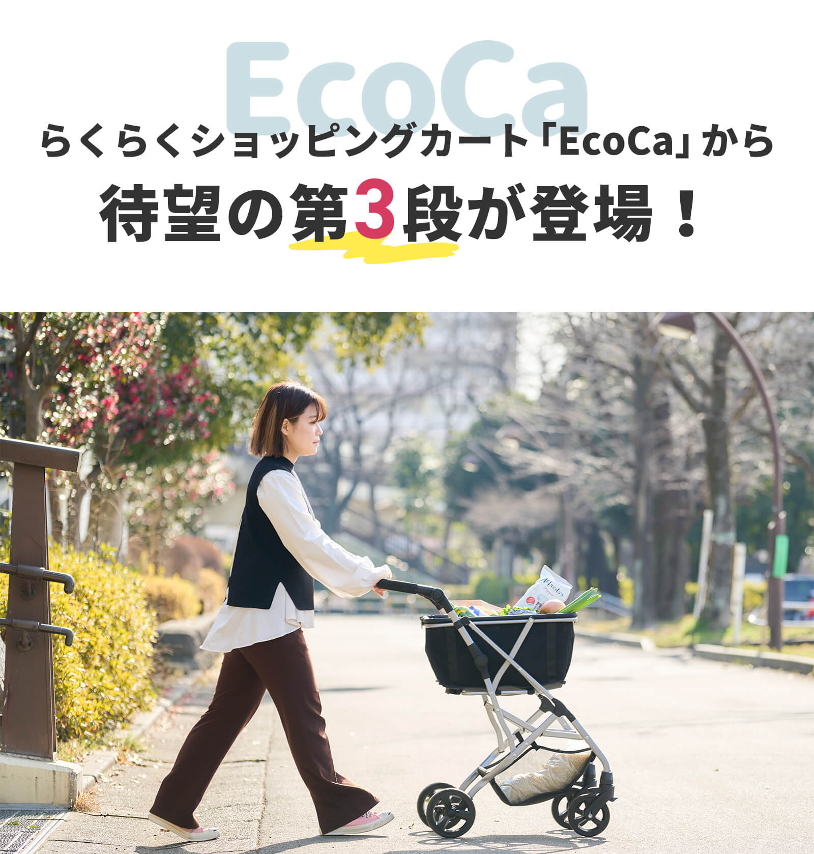 軽量化＆高さ調節】ワンタッチで折りたためるマイカート「エコカ」に