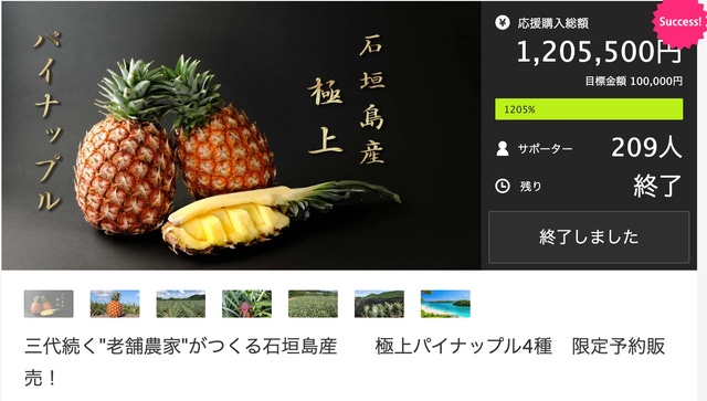 石垣島産「極上パイナップル」第二弾！甘くてジューシーな果肉が貴方を