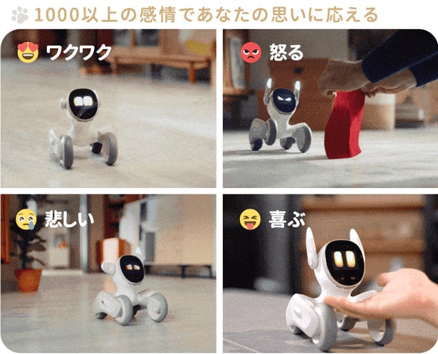 Loona（ルーナ)レビュー】表情豊かで感情表現ができ、飼い主を追いかけ