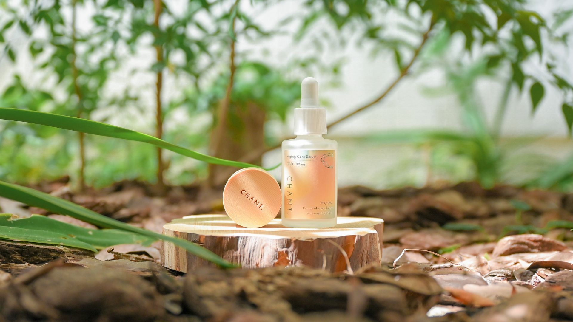 CBDコスメ】ヒト幹細胞培養液エキスとフラーレンを配合した新しい美容