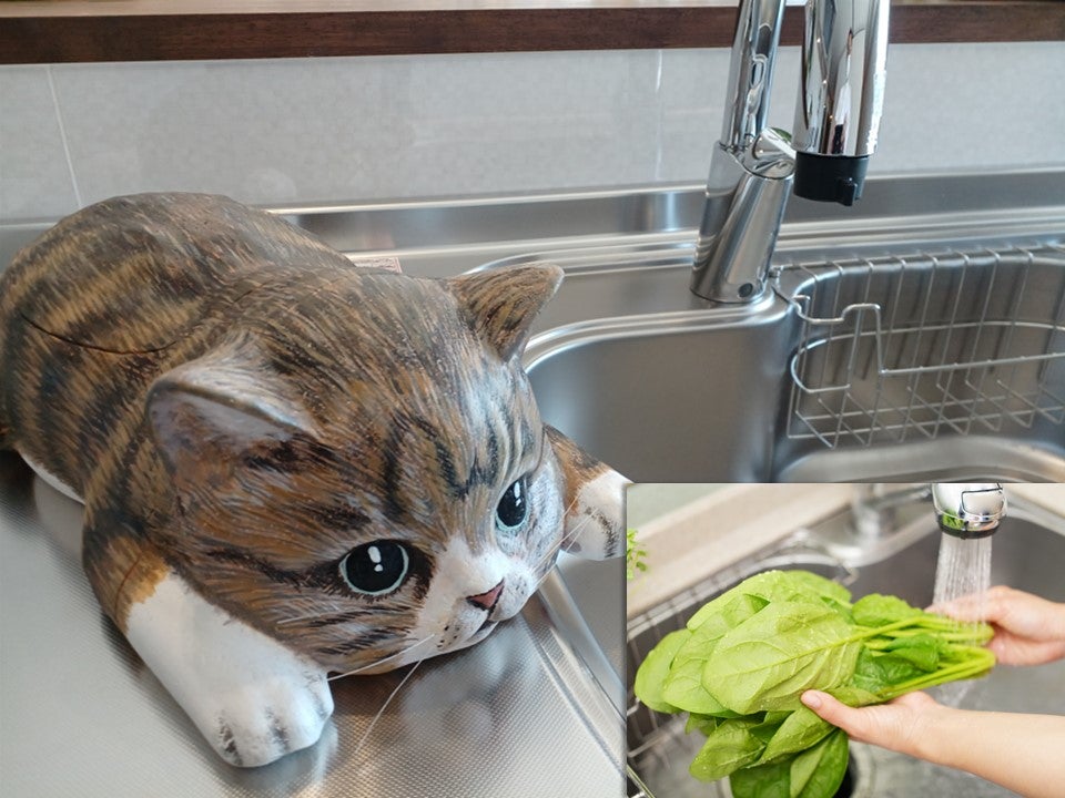 おえかきにゃんこの水耕栽培キット – Makuake STORE