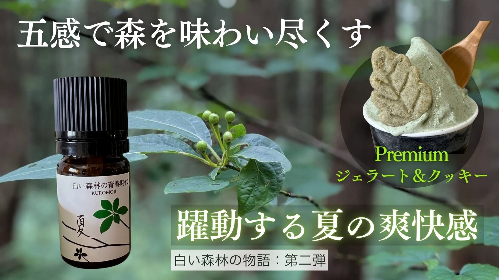 クロモジの魅力満載！深緑の生命力あふれる爽やかな香りとスイーツ