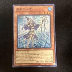 聖殿の水遣い スーパー 管理番号E - メルカリ