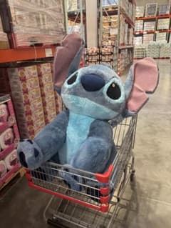 m15348147582_1.jpg?1749085647