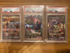 PSA10 連番】スナノケガワex、トドロクツキex、タケルライコ SAR