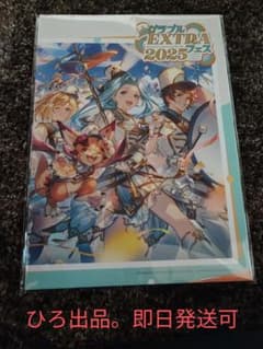 新品/未開封/未使用品 グラブルフェス2024 2025ex パンフレット - メルカリ