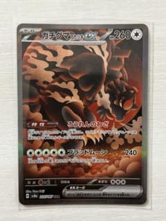 ガチグマアカツキex SAR SV8a テラスタルフェスex 225/187 - メルカリ