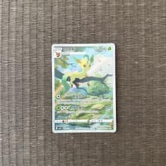 リーフィア AR 中国語版 宝石包 - メルカリ