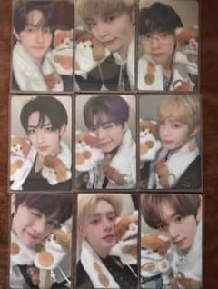 zb1 yizhiyu 一直娱 ねこ特典 トレカ 9枚セット 全員 - メルカリ