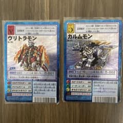 m18641531322_1.jpg?1737471091