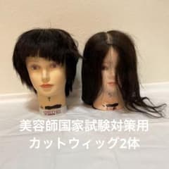 美容師国家試験対策用カットウィッグ⑩ - メルカリ