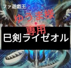 遊戯王デッキ ミツルギ×ライゼオルデッキ ガチ構築 巳剣デッキ - メルカリ