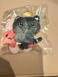 NCT WISH WISH DOLL リク ぬいぐるみ トレカ キーリング クリ | Shop