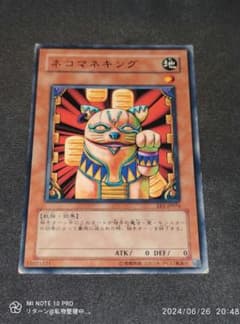 m11122309517_1.jpg?1719494382