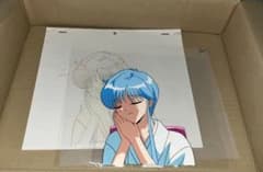 m11258670631_1.jpg?1725021340