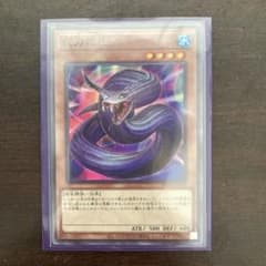 夜刀蛇巳 遊戯王 ミツルギ 巳剣 爬虫類族 WPP3 やとのかみ - メルカリ